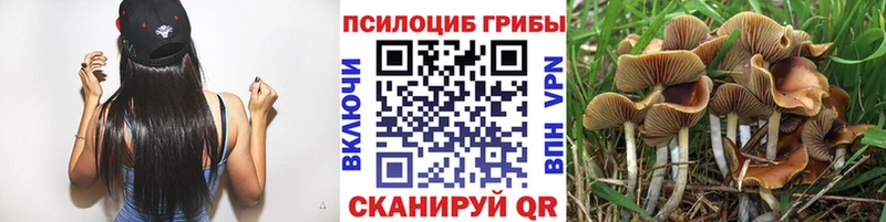 MEGA зеркало  Белебей  Псилоцибиновые грибы ЛСД 